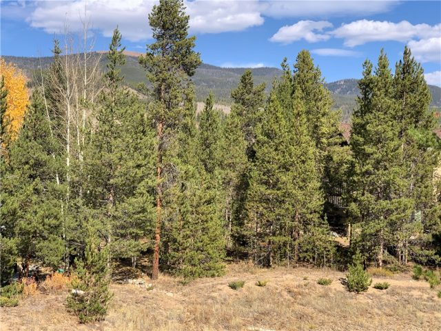 Land in Old Keystone Golf Course Sub, Keystone, CO — photo 1 (MLS S1022781)