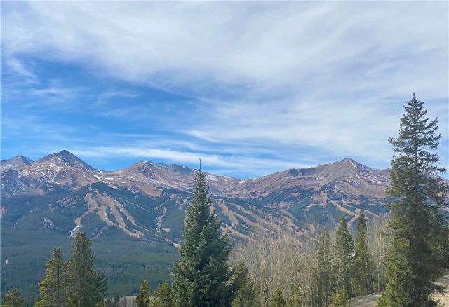Townhome in Great Divide Condo, Breckenridge, CO — photo 1 (MLS S1022857)