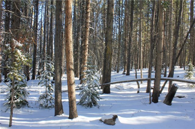 615 Gold King Way, Breckenridge, CO — main photo