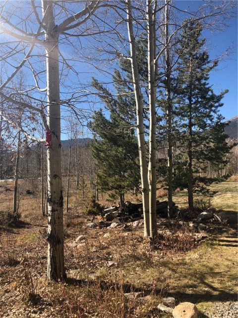 4615 Ryan Gulch Road 4615, Silverthorne, CO — main photo