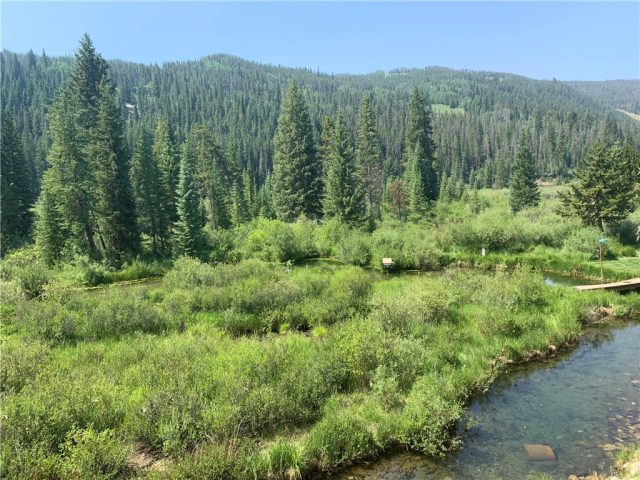 Townhome in Mill Creek Townhomes, Keystone, CO — photo 1 (MLS S1023180)