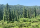 72 River Run Road photo 1