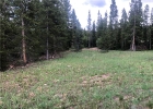 1265 Gold Run Road photo 1