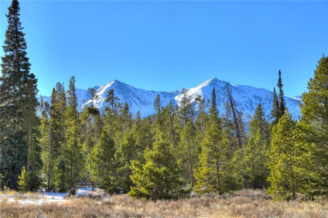 Land in Metes And Bounds - Breck, Breckenridge, CO — photo 1 (MLS S1023306)
