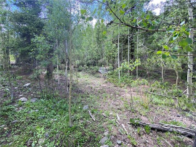 Land in Leap Year Sub, Blue River, CO — photo 1 (MLS S1023310)