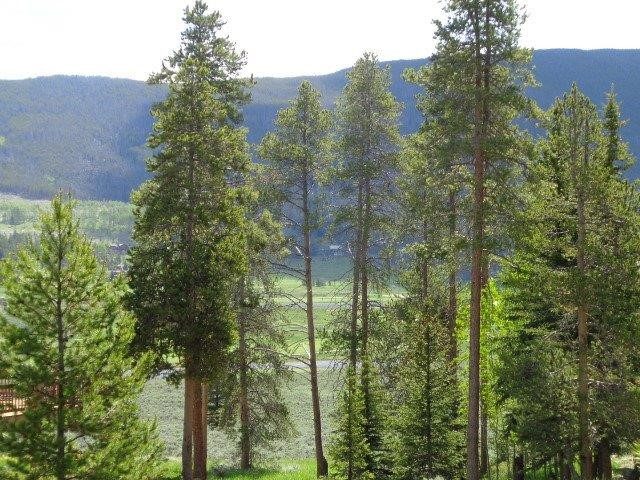 Land in Keystone West Ranch Sub, Keystone, CO — photo 1 (MLS S1023452)