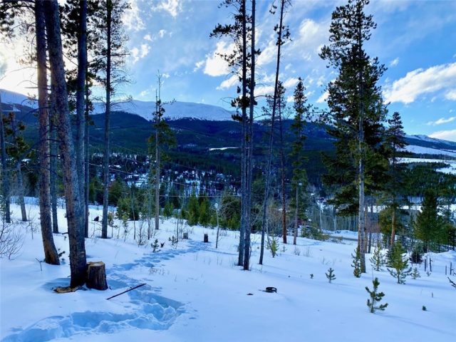 Land in Shadows North Amended Sub, Breckenridge, CO — photo 1 (MLS S1024315)
