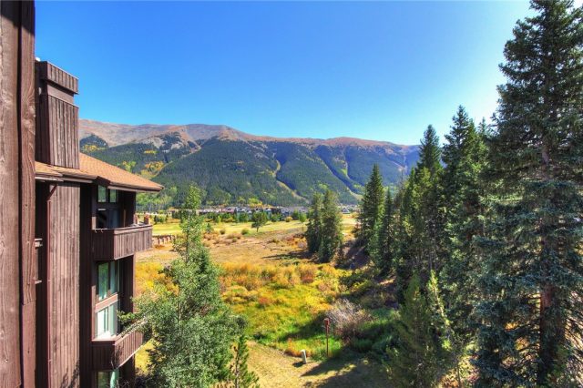 Condo in Timber Creek Condo, Copper Mountain, CO — photo 1 (MLS S1024326)