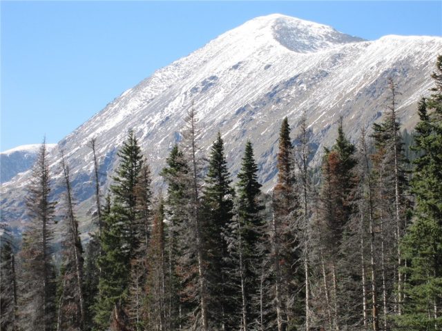 Land in Sawlog And Wonderful Placers Sub, Breckenridge, CO — photo 1 (MLS S1024635)