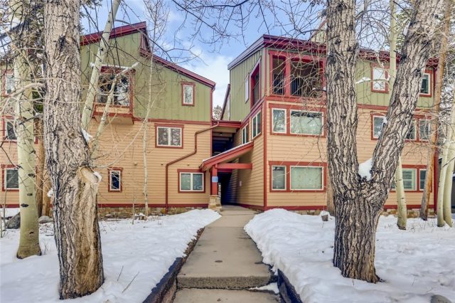 Condo in Snodallion Condo, Breckenridge, CO — photo 1 (MLS S1024795)