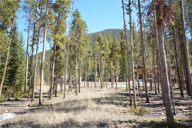 Land in Estates At The Alders, Keystone, CO — photo 1 (MLS S1025912)