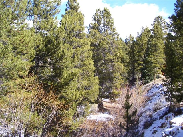 Land in Wild Irishman Sub, Keystone, CO — photo 1 (MLS S1025915)