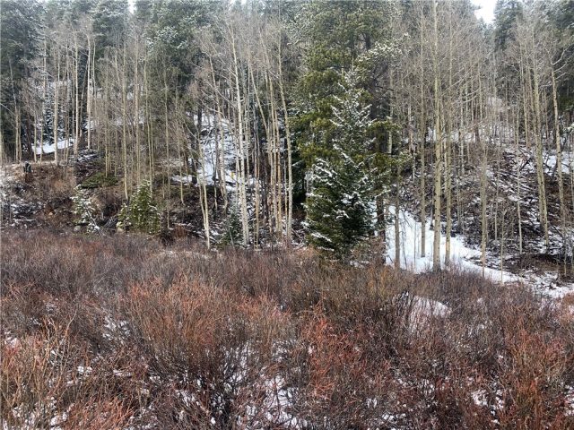 Land in Sunnyslope Sub, Breckenridge, CO — photo 1 (MLS S1025972)