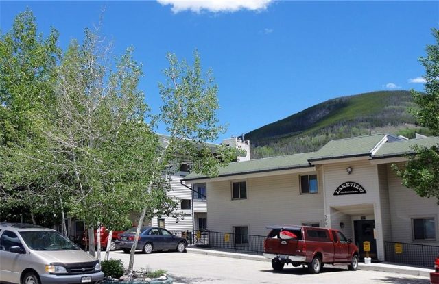370 E La Bonte Street 101, Dillon, CO — main photo