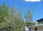 370 E La Bonte Street 101 photo 1 370 E La Bonte Street 101 photo 1