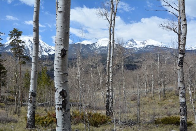 Land in Hamilton Creek Sub, Silverthorne, CO — photo 1 (MLS S1026061)