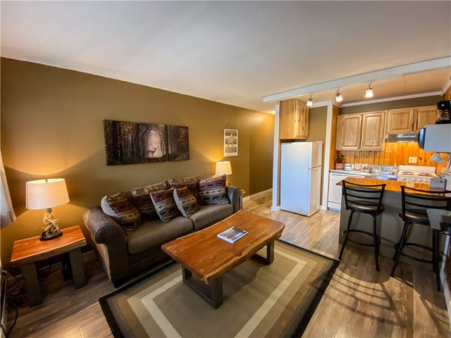 Condo in Tyrollean Terrace Condo, Breckenridge, CO — photo 1 (MLS S1026164)