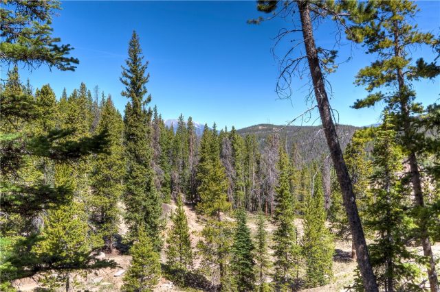 Land in Country Boy Subdivision, Breckenridge, CO — photo 1 (MLS S1027353)