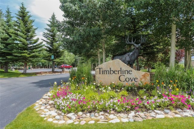 Condo in Timberline Cove Condos, Frisco, CO — photo 1 (MLS S1029257)