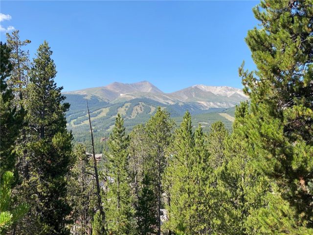 Tbd Royal Tiger Road, Breckenridge, CO — main photo