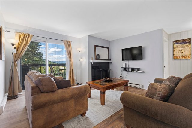 Condo in Blue River Condos (dot Condo), Blue River, CO — photo 1 (MLS S1030732)