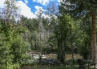 101 Forest Drive C photo 1