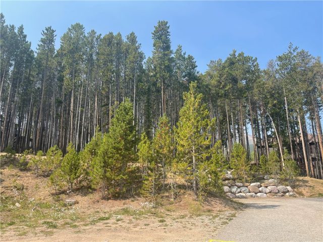 Land in Boulder Ridge Sub, Breckenridge, CO — photo 1 (MLS S1030820)