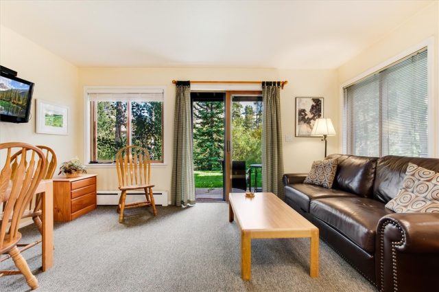Condo in Wildwood Lodge Condo, Breckenridge, CO — photo 1 (MLS S1030853)