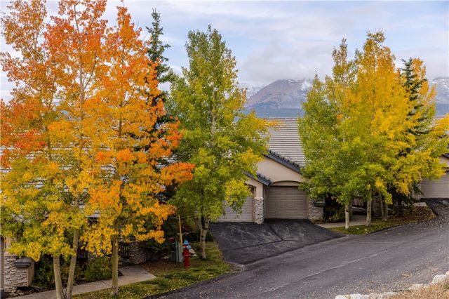 Townhome in Charter Ridge Townhomes, Breckenridge, CO — photo 1 (MLS S1031162)