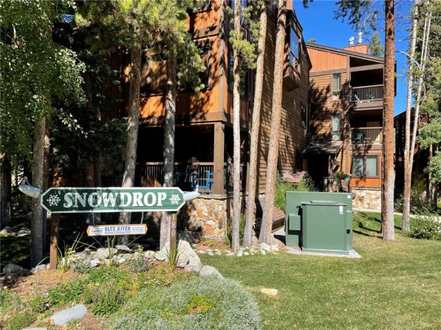 Condo in Snowdrop Condo, Breckenridge, CO — photo 1 (MLS S1031171)