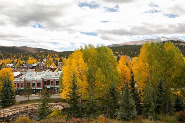 Condo in Blazing Saddles Condo, Breckenridge, CO — photo 1 (MLS S1031437)