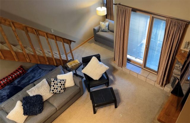 Condo in Lodge At Copper Mountain Condo, Copper Mountain, CO — photo 1 (MLS S1031605)