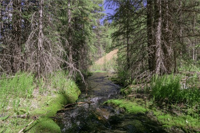 Land in Spruce Park Sub, Breckenridge, CO — photo 1 (MLS S1032105)