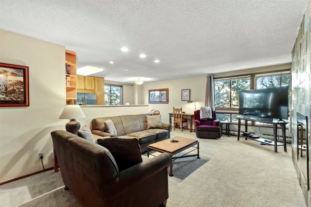Condo in Ski Hill Condo, Breckenridge, CO — photo 1 (MLS S1032203)