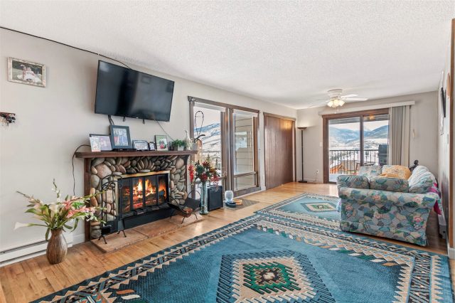 Condo in Summit Point Condo, Wildernest, CO — photo 1 (MLS S1032217)