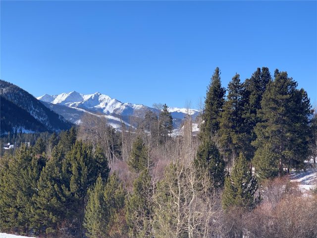 Duplex in Sanctuary At Keystone Condo, Keystone, CO — photo 1 (MLS S1032439)