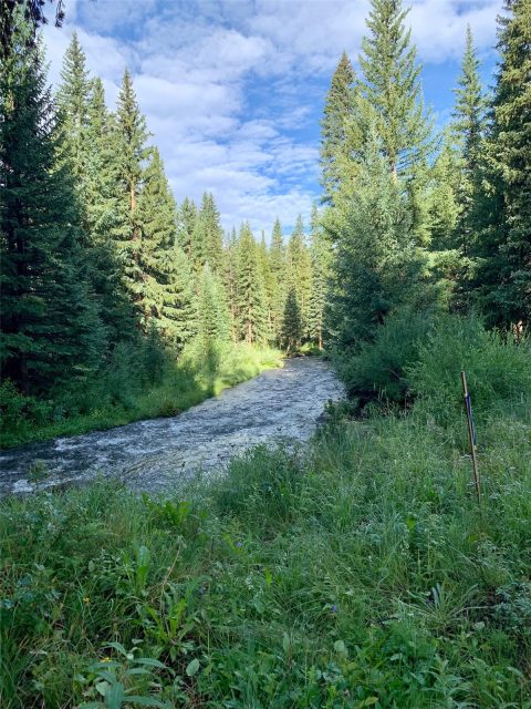Land in Spillway Sub, Breckenridge, CO — photo 1 (MLS S1032517)