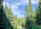 311 Wagon Road photo 1