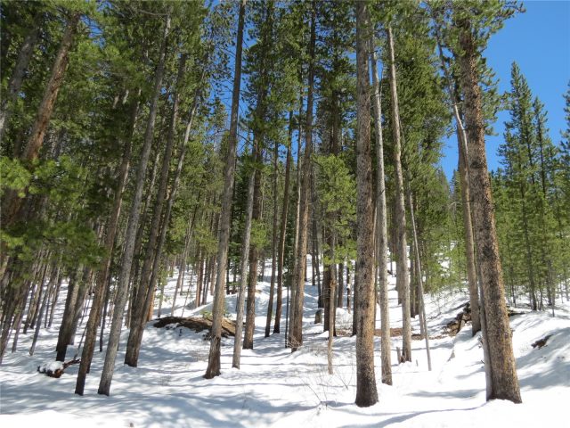 496 Moonstone Road, Breckenridge, CO — main photo
