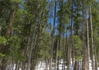 496 Moonstone Road photo 1