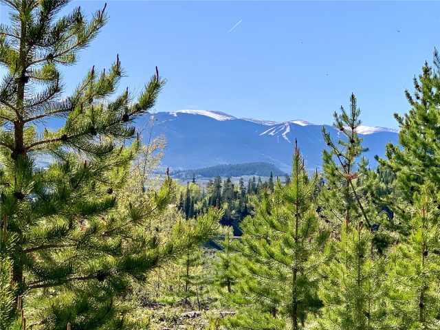 Land in Ruby Ranch Sub, Silverthorne, CO — photo 1 (MLS S1036683)