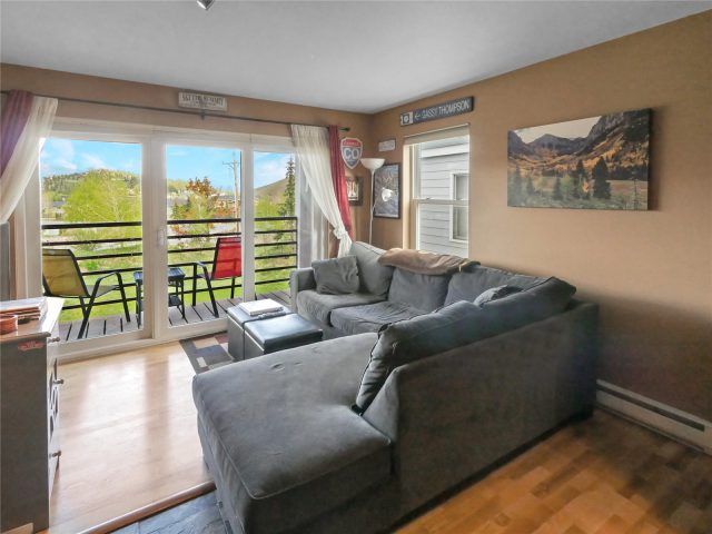Condo in Meadow Cove Condo, Dillon, CO — photo 1 (MLS S1036684)