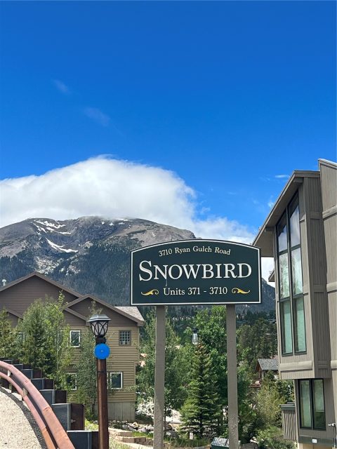 Condo in Snowbird, Silverthorne, CO — photo 1 (MLS S1036926)