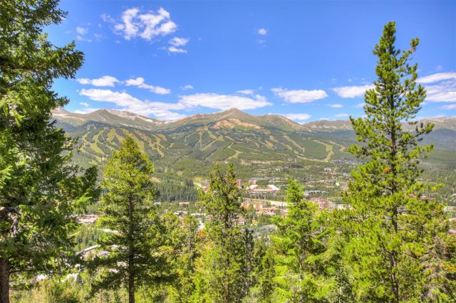 Condo in Ford Hill Condo, Breckenridge, CO — photo 1 (MLS S1038608)
