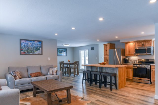 Home in Beaver Valley Sub, Silverthorne, CO — photo 1 (MLS S1038614)