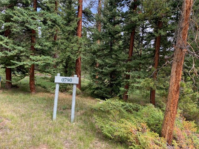 Land in Keystone West Ranch Sub, Dillon, CO — photo 1 (MLS S1039277)