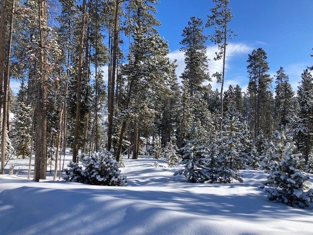 Land in Blue Ridge Amended Sub, Breckenridge, CO — photo 1 (MLS S1039803)