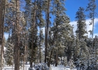 578 American Way photo 1