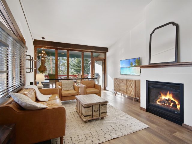 Condo in Hermit Placer Grove Condo, Breckenridge, CO — photo 1 (MLS S1039813)