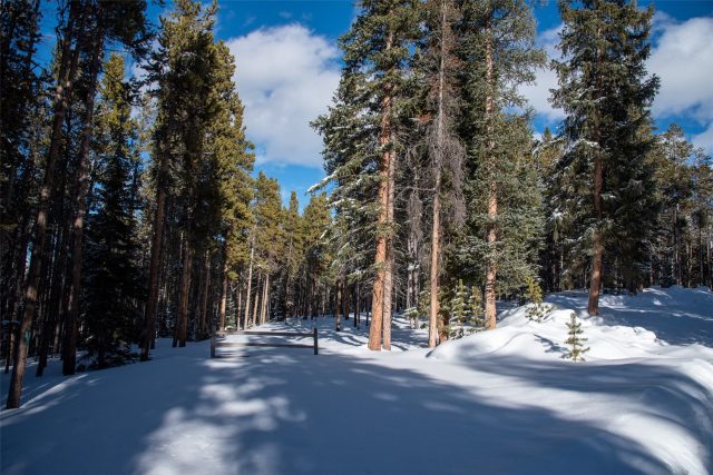 Land in Louise Placer Sub, Breckenridge, CO — photo 1 (MLS S1039896)